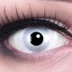 Das Produktfoto zeigt unsere Crazy graue Farbige Kontaktlinse Mirror in einem echten Auge