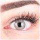 Das Produktfoto zeigt unsere Farbige Graue Kontaktlinse Rose Grey in einem echten Auge