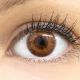 Farbige braune Kontaktlinsen 'Flora Brown' - Silicone Comfort Monatslinsen von Glamlens