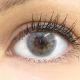 Farbige graue Kontaktlinsen 'Flora Sterling Gray' - Silicone Comfort Monatslinsen von Glamlens