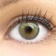 Farbige Graue Premium Kontaktlinsen Limone Gray von GLAMLENS