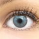 Farbige Graue Premium Kontaktlinsen Limone Ice Gray von GLAMLENS