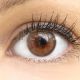 Glamlens Marsala Brown - Natürlich Aussehende Dezente Farbige Kontaktlinsen ohne Stärke - 3 Monate Farbig