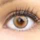Farbige braune Kontaktlinsen 'Flora Brown' - Silicone Comfort Monatslinsen von Glamlens