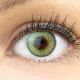 Farbige Grüne Premium Kontaktlinsen Padua Emerald von GLAMLENS