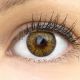 Farbige braune Kontaktlinsen 'Palermo Brown' - Silicone Comfort Monatslinsen von Glamlens