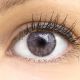 Das Produktfoto zeigt unsere Farbige Graue Kontaktlinse Rose Grey in einem echten Auge