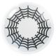 Das Produktfoto zeigt unsere Crazy weisse Farbige Kontaktlinse Spider in einem echten Auge
