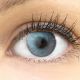 Farbige Graue Premium Kontaktlinsen Verona Gray von GLAMLENS