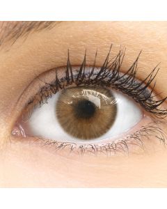 Farbige Premium Kontaktlinsen in Limone Brown von GLAMLENS